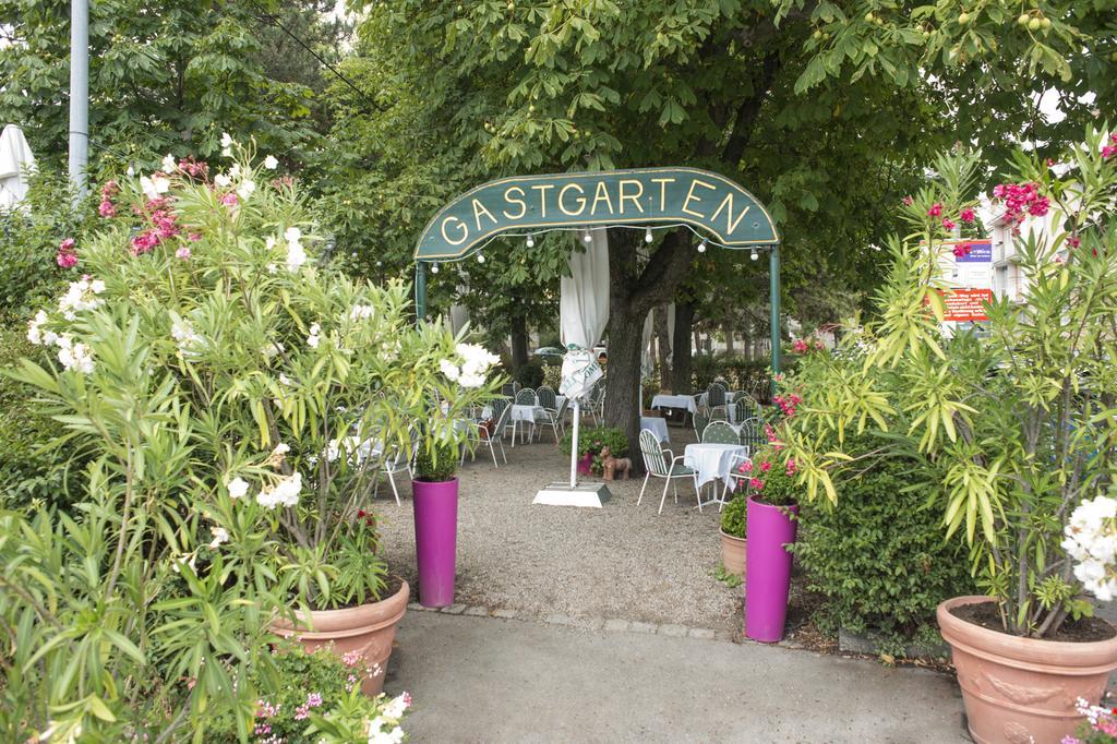 Hotel Bergwirt Schoenbrunn ウィーン エクステリア 写真